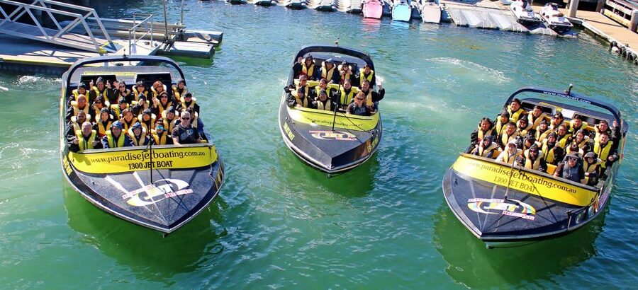 Gold Coast: Extreme Jet Boat Blast Ride - Wildlife watching between the fast turns
