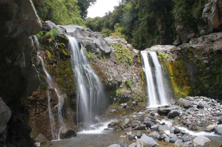 Gold Coast: Hop on Hop off Bus to Tamborine Mountain - Wineries, distilleries, and craft beer
