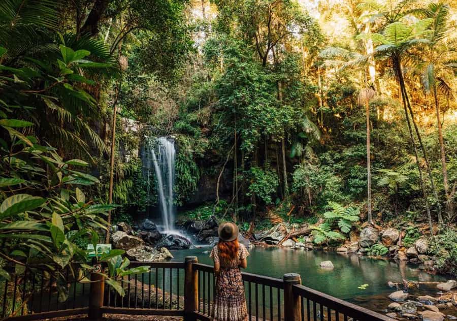 Gold Coast: Hop on Hop off Bus to Tamborine Mountain - The morning pickup from the Gold Coast