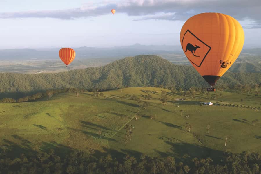 Gold Coast: Hot Air Balloon Flight+Vineyard Breakfast+Alpaca - Breakfast at OReillys Canungra Valley Vineyards