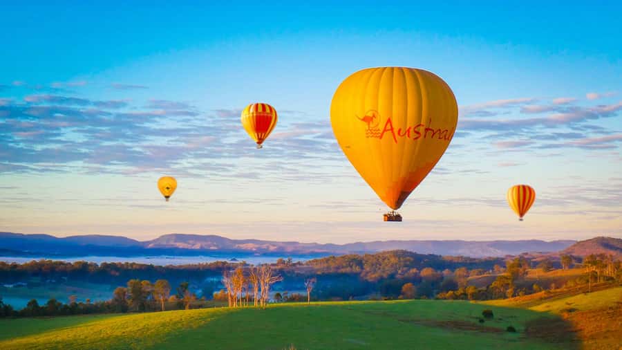 Gold Coast: Hot Air Balloon Flight+Vineyard Breakfast+Alpaca - Watching a ten-storey balloon come alive