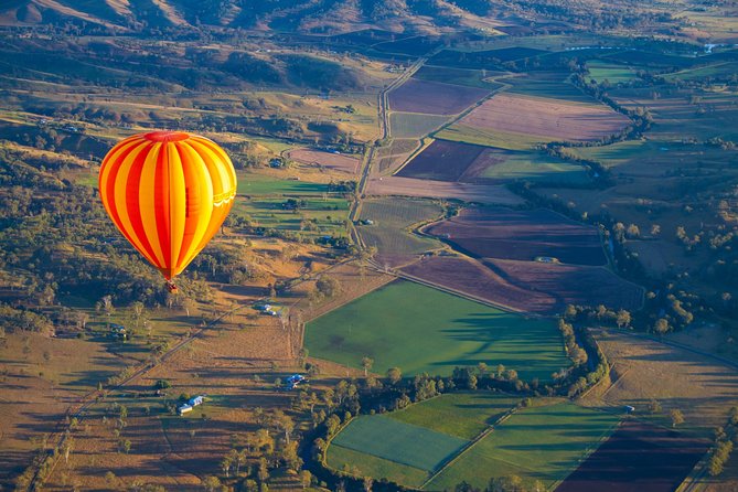 Gold Coast Hot Air Balloon + Winery Breakfast + Return Transfers - Wine tasting and the cellar door visit