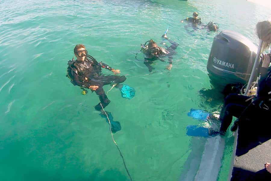 Gold Coast: Introductory SCUBA Diving Experience - Learning the basics in shallow water