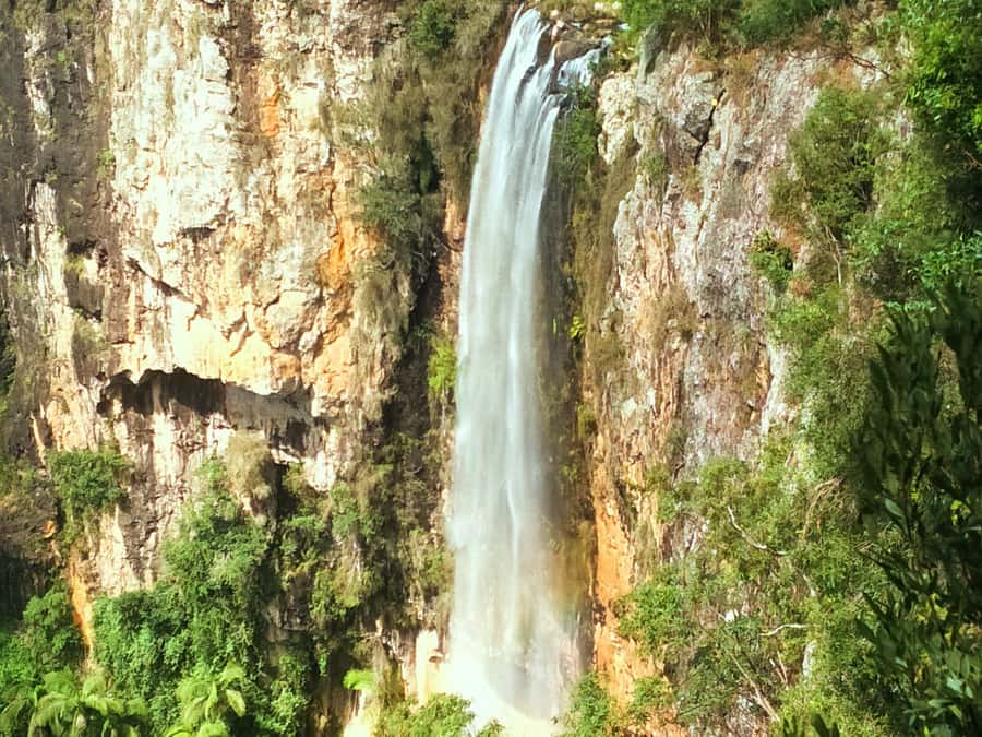 Gold Coast: Kangaroos, Rainforest & Waterfalls Experience - Swimming at the foot of a waterfall