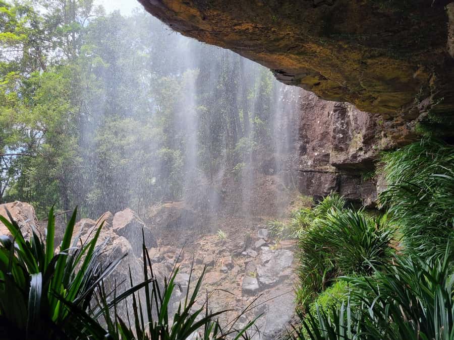 Gold Coast: Kangaroos, Rainforest & Waterfalls Experience - A home-cooked lunch in a memorable setting