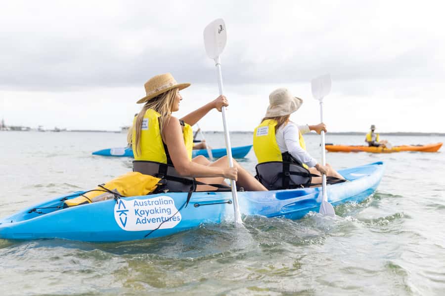 Gold Coast: Kayaking and Snorkeling Guided Tour - Key points at a glance