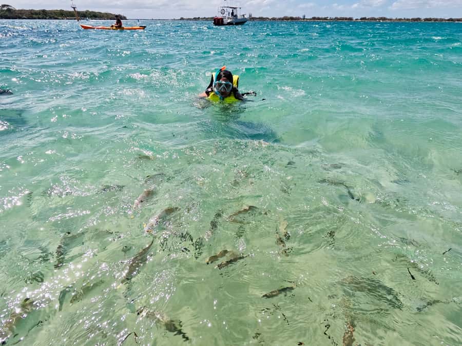 Gold Coast: Kayaking and Snorkeling Guided Tour - Snorkeling among subtropical fish