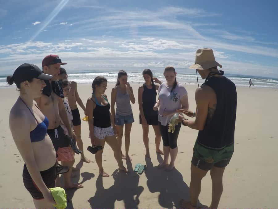 Gold Coast: Kayaking and Snorkeling Guided Tour - How the two-hour schedule affects the experience