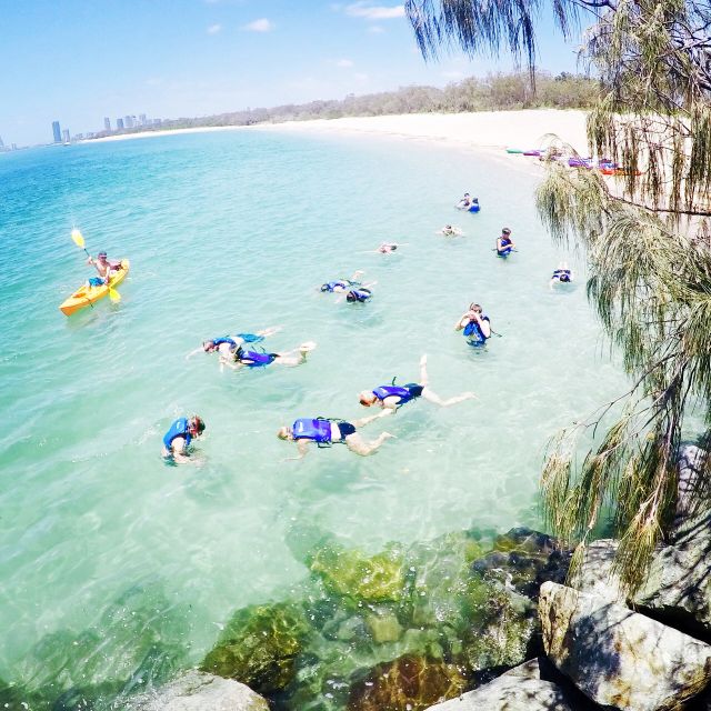 Gold Coast: Kayaking and Snorkeling Guided Tour - What to bring for a safer outing
