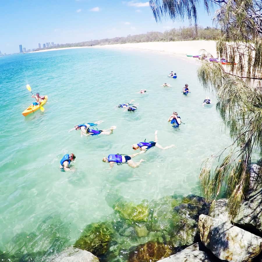 Gold Coast: Kayaking and Snorkeling Guided Tour - Paddling across Southern Moreton Bay