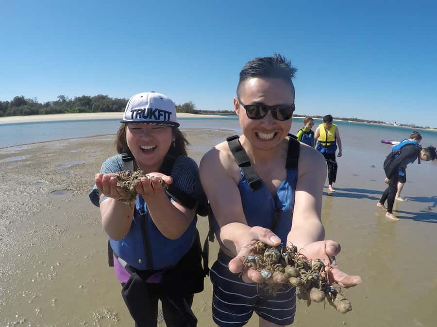 Gold Coast: Kayaking & Snorkelling Tour with Fish Feeding - Booking details and what the price covers