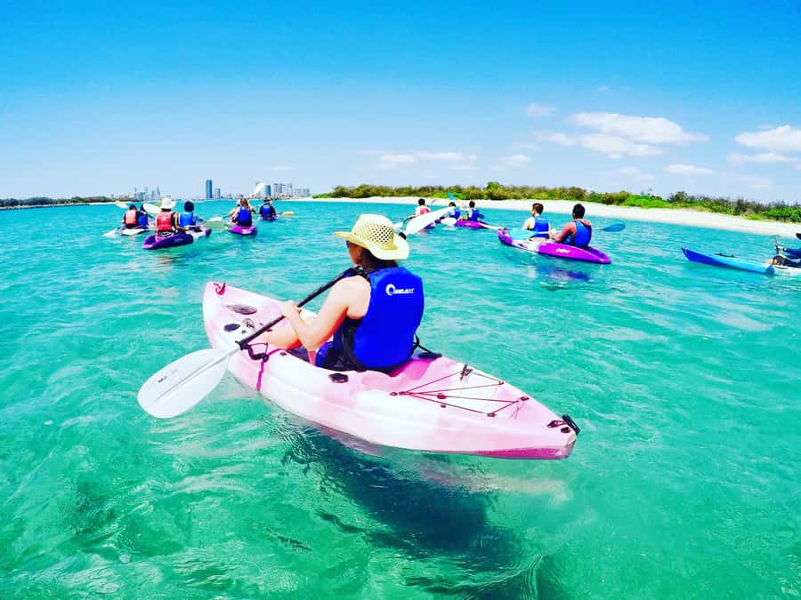 Gold Coast: Kayaking & Snorkelling Tour with Fish Feeding - Why this three-hour Gold Coast outing works
