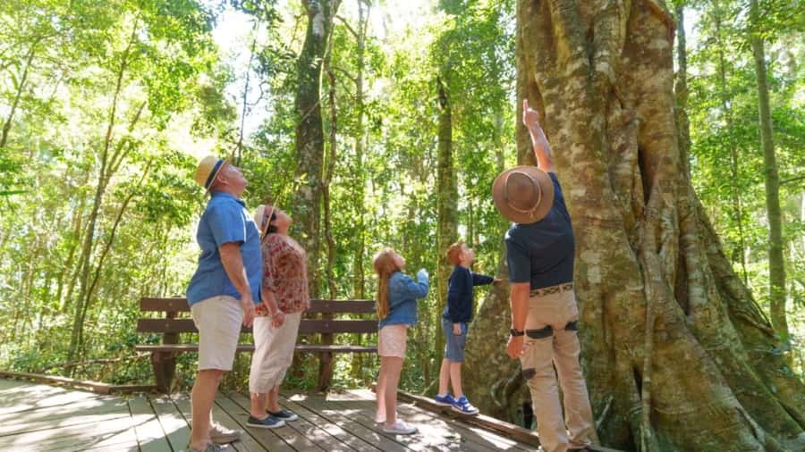 Gold Coast: Lamington Treetops, Wildlife and Vineyard Visit - Canungra Valley Vineyard and a glass of sparkling wine