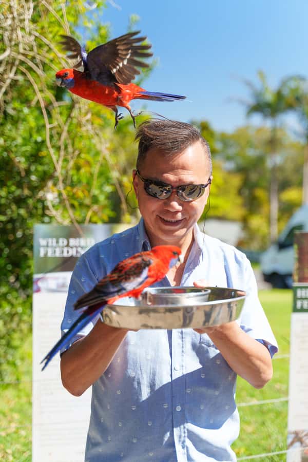 Gold Coast: Lamington Treetops, Wildlife and Vineyard Visit - Walking above Lamington National Park