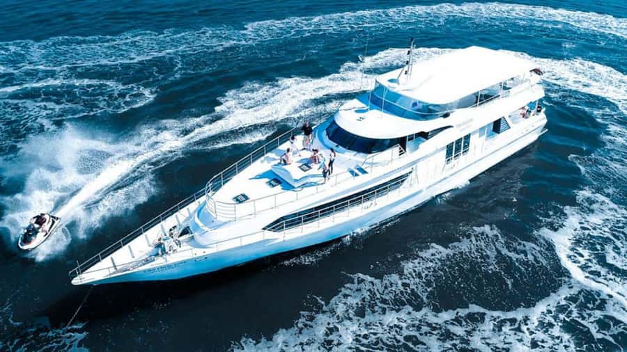 Gold Coast: Luxury Whale Watching Tour - Getting comfortable on a 34-metre yacht
