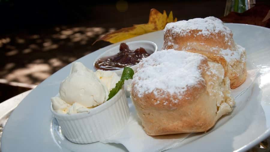Gold Coast: Mount Tamborine Kangaroo and Koala Day Tour - The guides can shape the whole morning