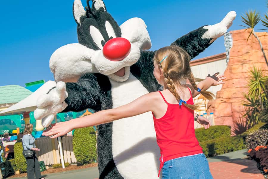 Gold Coast: Movie World, Sea World & Wet'n'Wild 7-Day Pass - Should you book the Gold Coast seven-day pass?