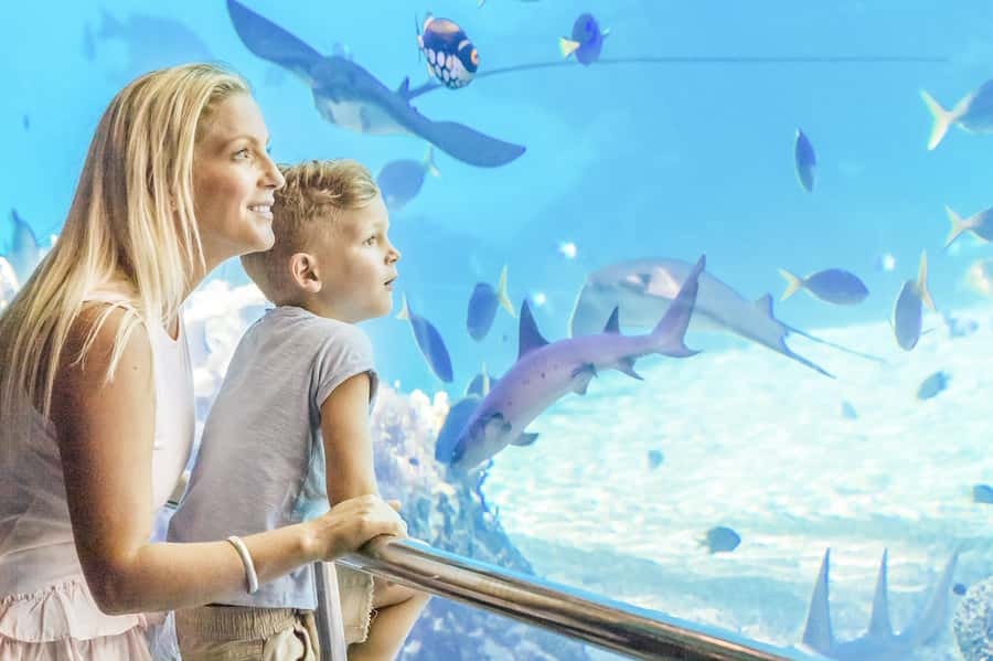 Gold Coast: Movie World, Sea World & Wet'n'Wild 7-Day Pass - How the seven-day pass works