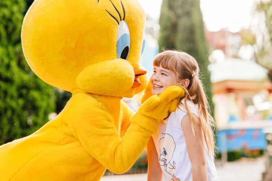Gold Coast: Movie World, Sea World & Wet'n'Wild 7-Day Pass - A practical way to plan all four parks
