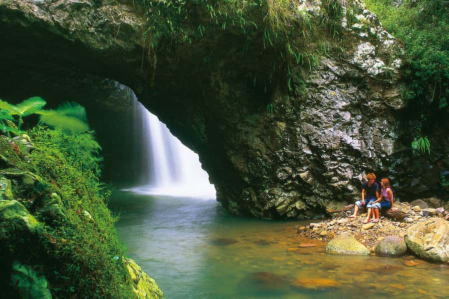 Gold Coast: Natural Bridge Glow Worm Night Tour - Walking into Springbrook National Park after dark