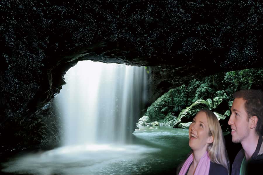 Gold Coast: Natural Bridge Glow Worm Night Tour - Leaving Surfers Paradise at 6:05 pm