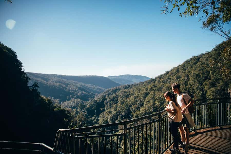 Gold Coast: Natural Bridge & Springbrook Waterfalls Tour - The Road Through Numinbah Valley