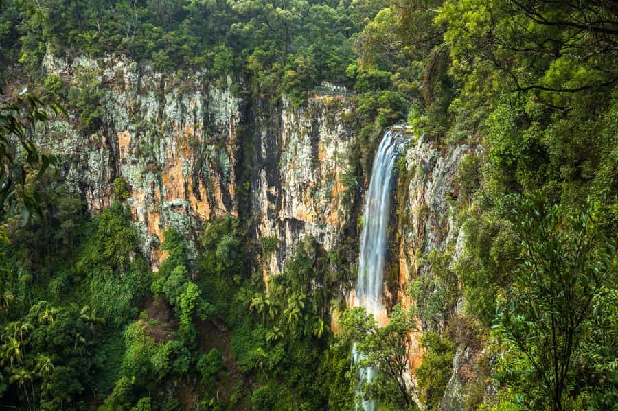 Gold Coast: Natural Bridge & Springbrook Waterfalls Tour - Natural Bridge and the Waterfall Cave