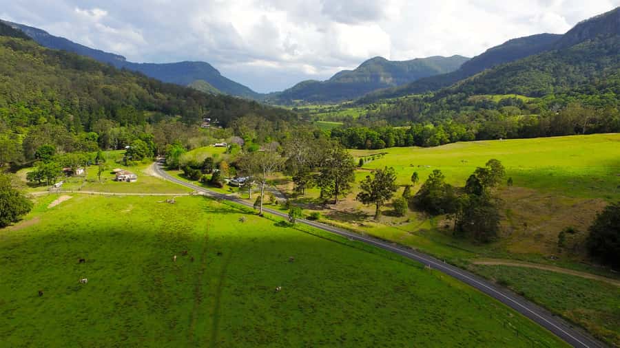 Gold Coast: Natural Bridge & Springbrook Waterfalls Tour - How Much Walking Is Involved?