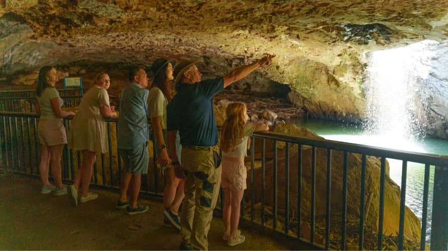 Gold Coast: Natural Bridge & Springbrook Waterfalls Tour - The Practical Drawbacks
