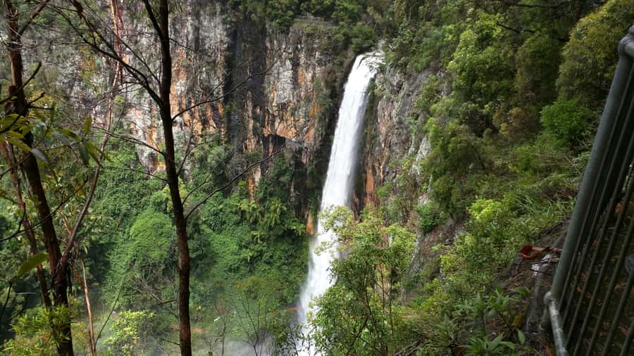 Gold Coast: Natural Bridge & Springbrook Waterfalls Tour - A Short Pause at Hinze Dam
