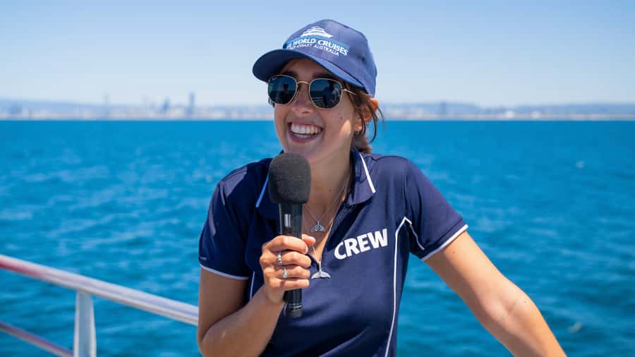 Gold Coast: Premium Whale Watching Cruise - Dolphins, turtles, and seabirds keep the water interesting