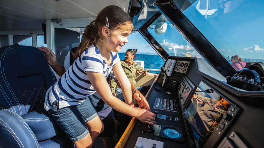 Gold Coast: Premium Whale Watching Cruise - The boat, viewing areas, and comfort