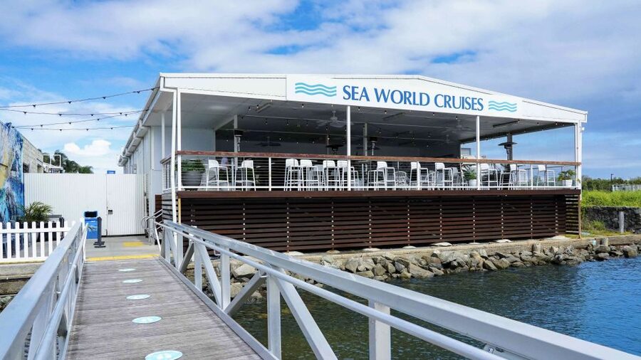 Gold Coast: Premium Whale Watching Cruise - How much value do you get for $63?