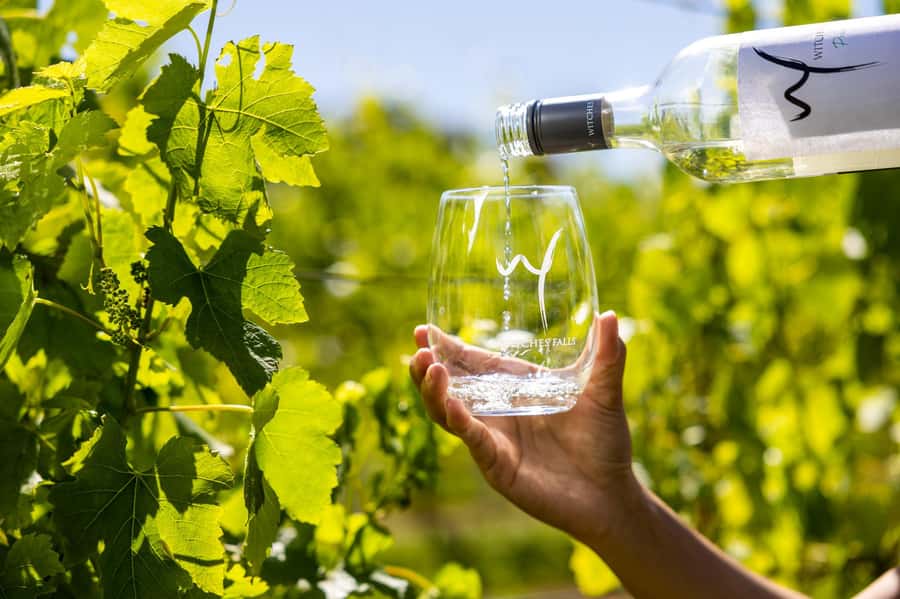 Gold Coast: Premium Wine Tour with Gourmet Lunch - The guide can shape the whole day