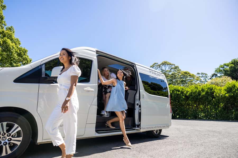 Gold Coast: Premium Wine Tour with Gourmet Lunch - Twenty minutes for Tamborine Mountain shopping