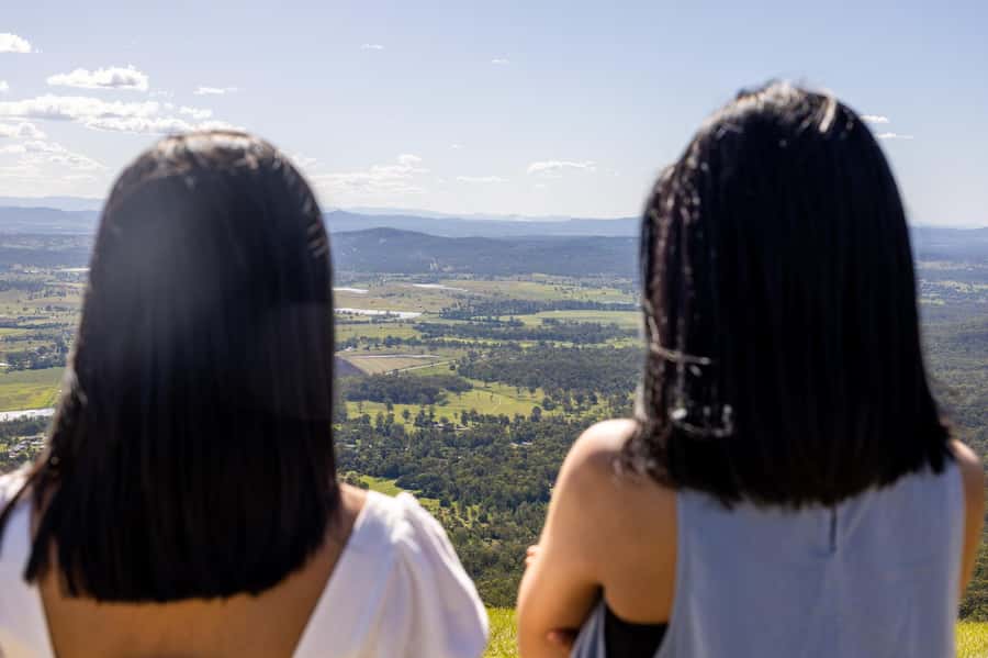 Gold Coast: Premium Wine Tour with Gourmet Lunch - What $211 per person gets you