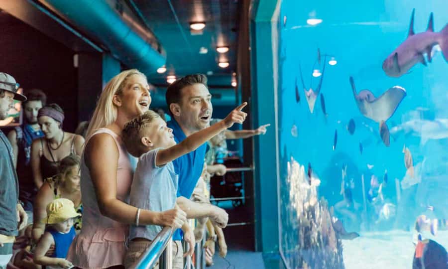 Gold Coast: Sea World Cruise & Entry Combo Ticket - Key points to know before you book