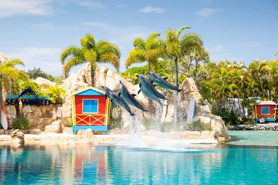 Gold Coast: Sea World Cruise & Entry Combo Ticket - Planning your seven hours without rushing