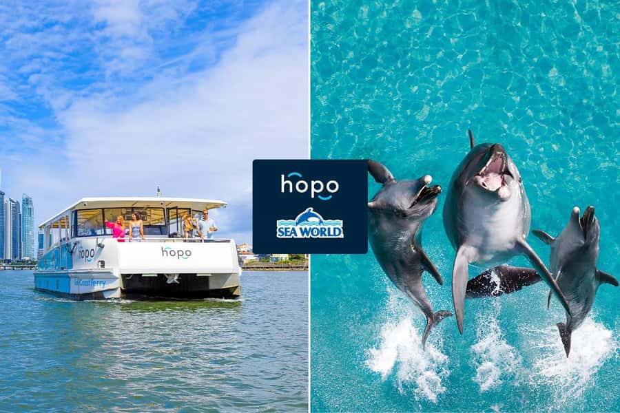 Gold Coast: Sea World Cruise & Entry Combo Ticket - A 50-minute cruise through the Gold Coast waterways