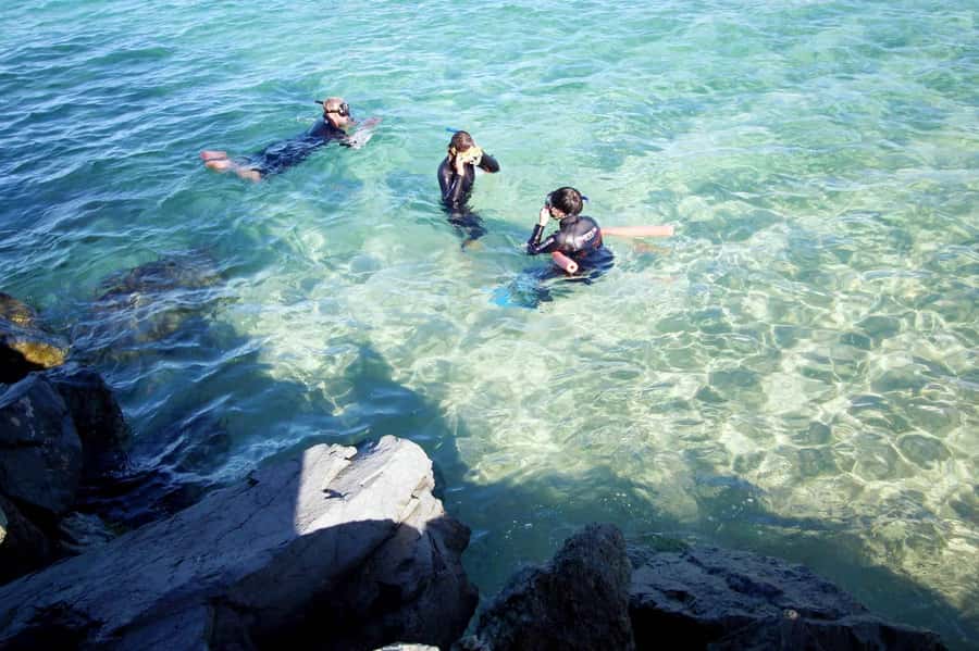 Gold Coast: Snorkelling in Wave Break Island - Why Wave Break Island works for beginners
