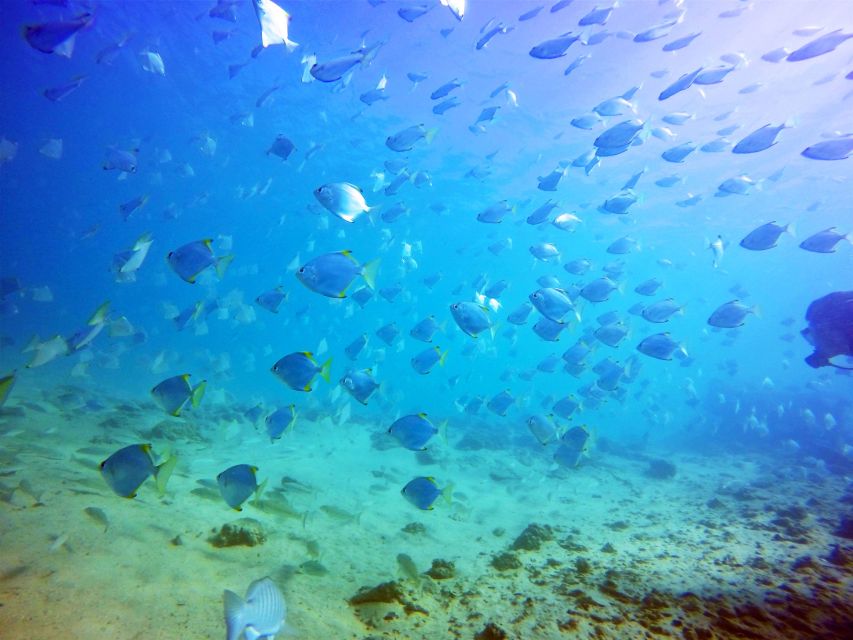 Gold Coast: Snorkelling in Wave Break Island - How much time do you really spend in the water?