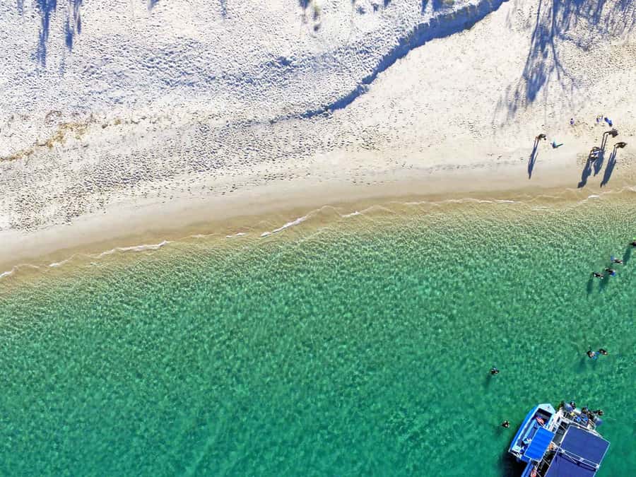 Gold Coast: Snorkelling in Wave Break Island - Is the $55 price good value?