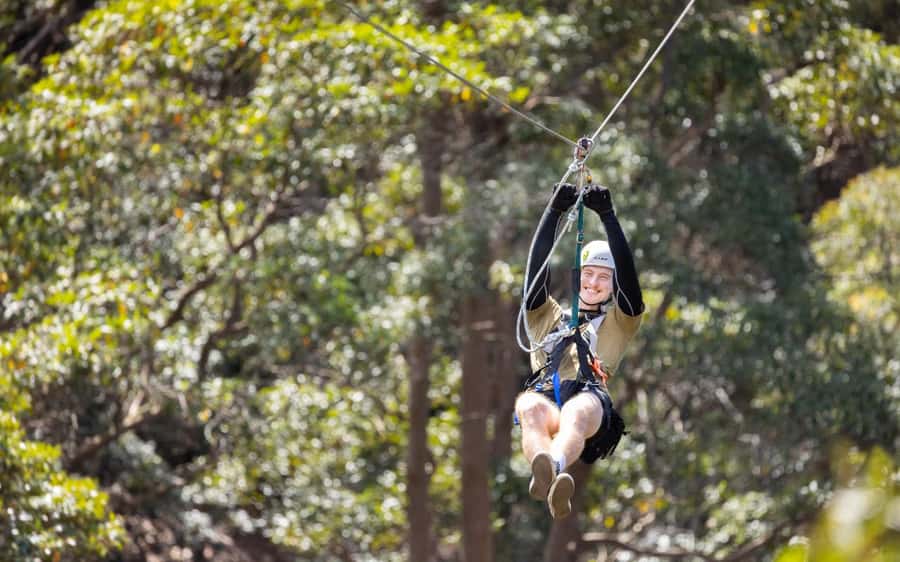 Gold Coast: Tamborine Mountain Canyon Flyer Zipline Tour - Key things to know before you book