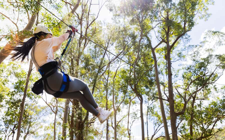 Gold Coast: Tamborine Mountain Canyon Flyer Zipline Tour - What to wear and what to leave behind