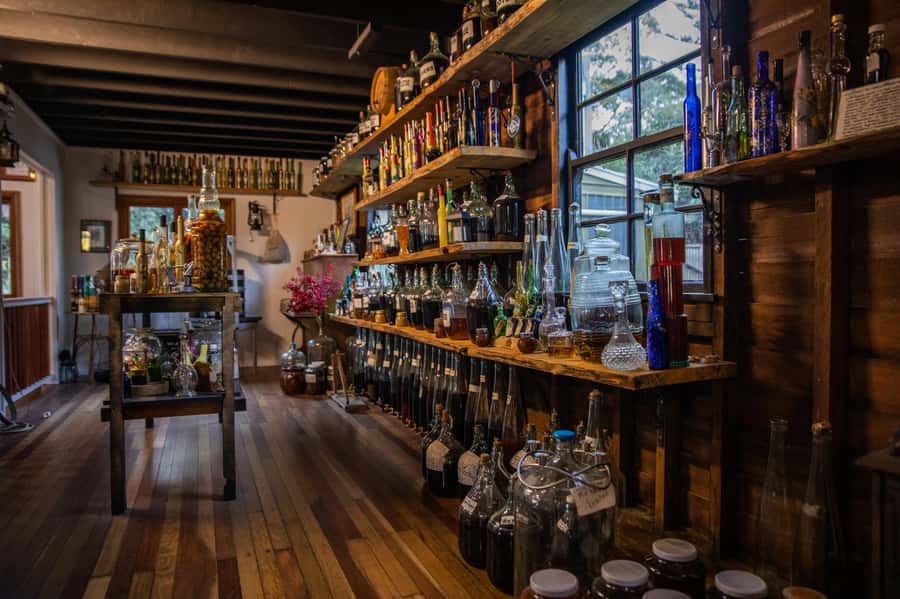 Gold Coast: Tamborine Mountain Local Winery Tour with Lunch - Hampton Estate and the main lunch break