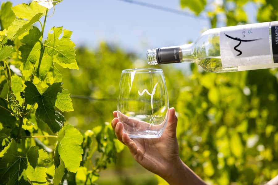 Gold Coast: Tamborine Mountain Local Winery Tour with Lunch - Why the itinerary can change