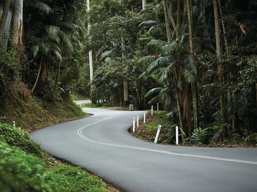 Gold Coast: Tamborine Mountain Local Winery Tour with Lunch - Food, wine, and the real value of $162