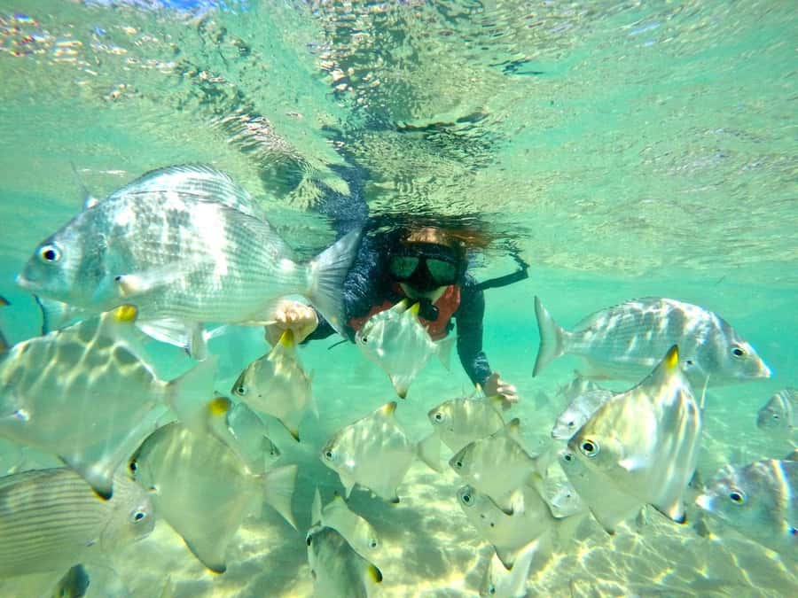 Gold Coast: Wave Break Island Kayaking & Snorkeling tour - Setting out from Biggera Waters