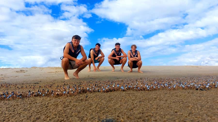 Gold Coast: Wave Break Island Kayaking & Snorkeling tour - A beach snack with skyline views
