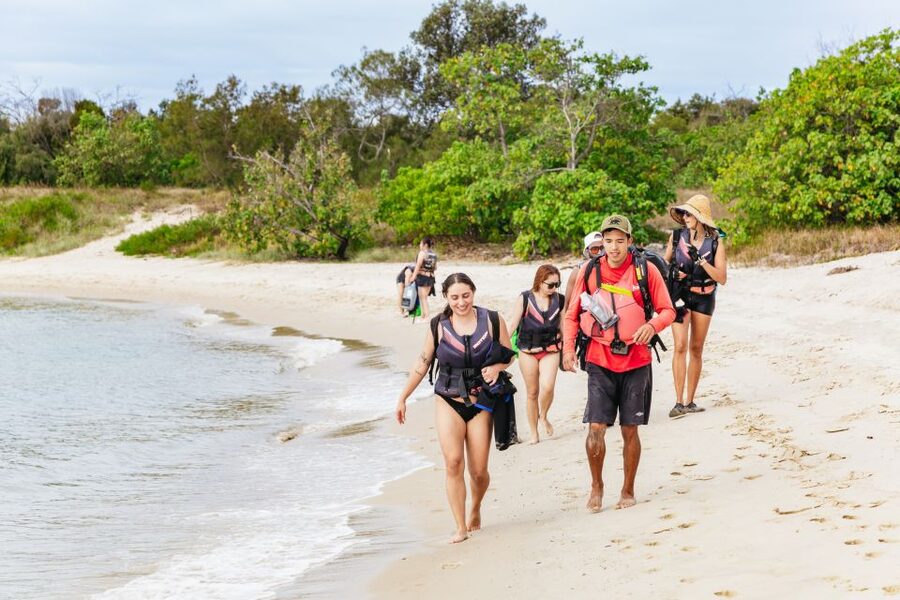 Gold Coast: Wave Break Island Kayaking & Snorkeling tour - Who will enjoy this Gold Coast tour